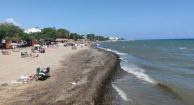 Tekirdağ'ın 4 ilçesinde denize girmek yasaklandı