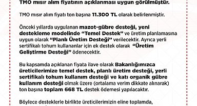 TMO 2025 yılı mısır alım fiyatı belli oldu