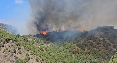 Tokat'ta orman yangını