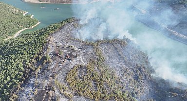 Tokat'ta orman yangını