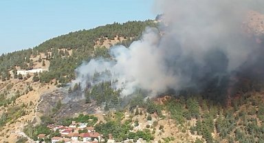 Tokat'ta orman yangını