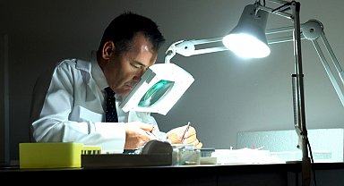 TÜBİTAK destekli projesiyle UV ışığının damar gevşetici sırrı araştırılacak