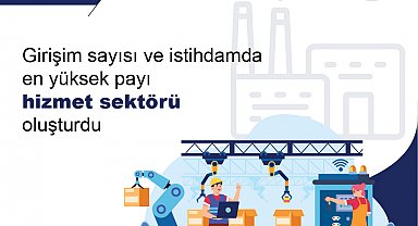 TÜİK: 2024 yılında faal olan girişimlerin yüzde 44,4'ü hizmet sektöründe