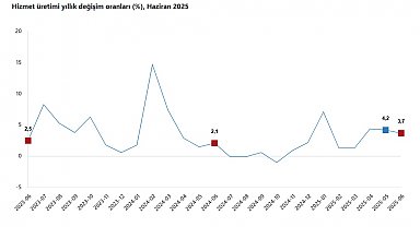 TÜİK: Hizmet üretimi yıllık yüzde 3,7 arttı