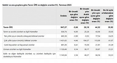 TÜİK: Tarım üretici fiyatları haziranda azaldı