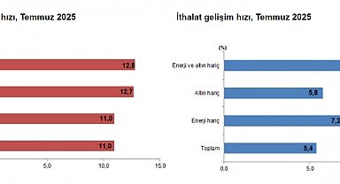 TÜİK: Temmuzda ihracat ve ithalat arttı