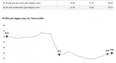TÜİK: Yurt dışı üretici fiyatları temmuzda arttı