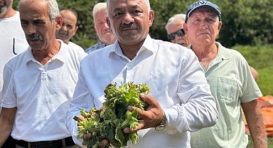 TZOB Üyesi Soydan: Fındığı tabanın üzerinde fiyat oluşması için kontrollü şekilde pazara indireceğiz