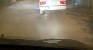 Yaban domuzunu otomobilin arkasına bağlayıp sürükledi