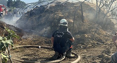 Yalova'da 3 farklı noktada çıkan yangın söndürüldü