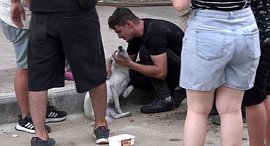 Yangın çıkan evdeki 2 köpeği itfaiye kurtardı