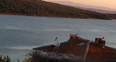 Yaren leyleğin depremi hissettiği anlar kamerada