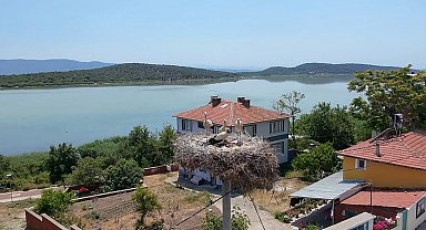 Yaren Leylek'in 2 yavrusu göç yolunda; 1'i Mısır'a diğeri Batı Şeria'ya ulaştı