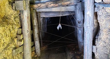 Zonguldak'ta 5 kaçak maden ocağı imha edildi