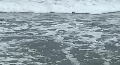 26 yıl hapisle aranan firari, denizde boğulma tehlikesi geçirince yakalandı