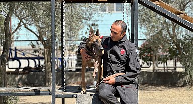 'Afet ve acil kurtarma' köpekleri göreve hazır