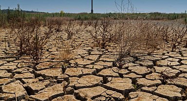 'Kuraklık ve su krizi gıda sektörünü olumsuz etkiliyor'