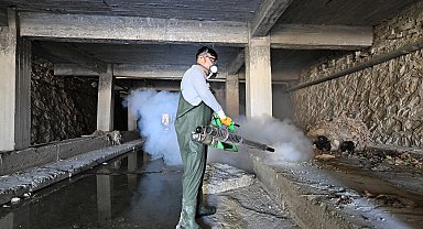 'Sığırlarda görülen üç gün hastalığını önlemenin yolu, sinekle mücadele'