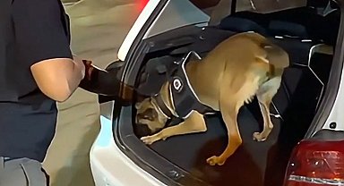 74 ilde uyuşturucu satıcılarına operasyonda 1811 gözaltı