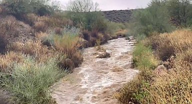 ABD'nin Arizona eyaletinde sel: 4 ölü