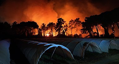 Antalya'da orman yangını; 2 otel tahliye edildi