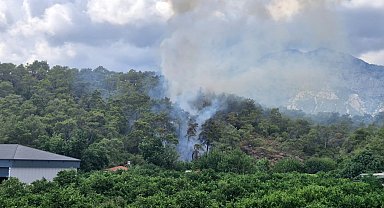 Antalya'da orman yangını