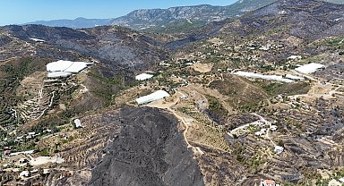 Antalya'daki orman yangınlarında 1350 hektar alan zarar gördü