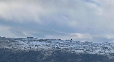 Ardahan'ın yükseklerindeki yaylalar, dolu nedeniyle beyaza büründü
