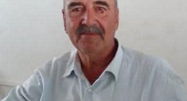 Arının soktuğu çiftçi, öldü