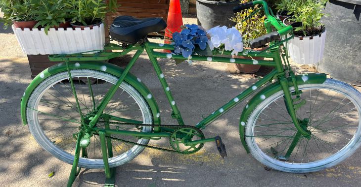 Atıklar sanata dönüşüyor