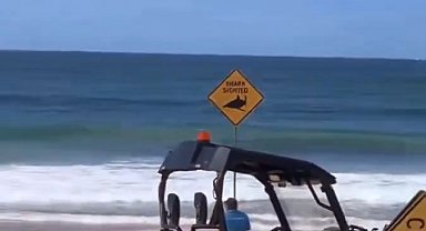 Avustralya'da ölümcül köpek balığı saldırısı