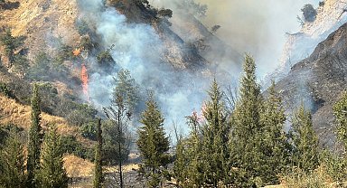 Aydın Efeler'de orman yangını