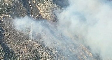 Aydın'da maki yangını