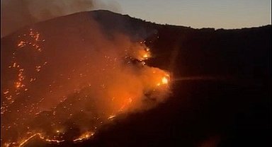 Aydın'da maki yangını