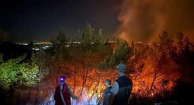 Aydın'da maki yangını