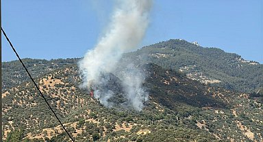 Aydın'da tarım arazisinde yangın