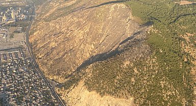 Aydın'daki orman yangını 17 saat sonra kontrol altına alındı