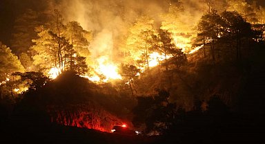 Aydın'daki orman yangını 4'üncü gününde
