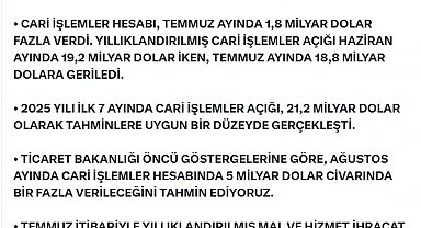 Bakan Bolat: Ağustosta cari işlemler hesabında 5 milyar dolar bir fazla verileceğini tahmin ediyoruz