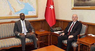 Bakan Güler, Nijerli mevkidaşı ile görüştü