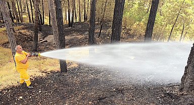 Bakan Yumaklı: Kastamonu ve Karabük'te orman yangınları büyük ölçüde kontrol altında