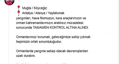 Bakan Yumaklı: Muğla ve Antalya'daki orman yangınları kontrol altına alındı