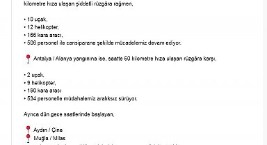 Bakan Yumaklı'dan 3 ildeki orman yangınına ilişkin açıklama