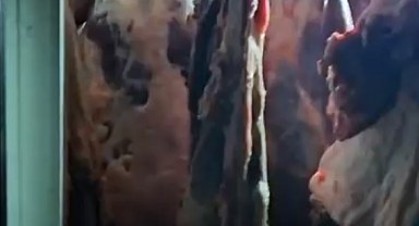 Bakanlık: Ahırdaki soğuk hava deposunda bulunan 1,5 ton uygunsuz et imha edildi