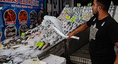 Balık bollaştı, fiyatlar düştü