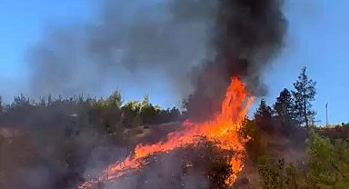 Balıkesir'de orman yangını 2 saatte kontrol altında