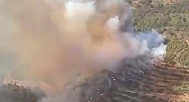 Balıkesir'de orman yangını