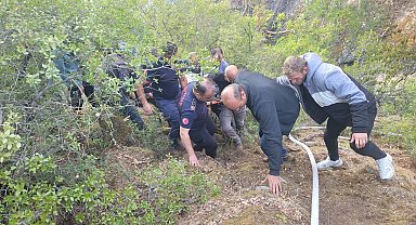 Balıkesir'de orman yangını