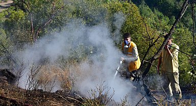 Balıkesir'de orman yangını