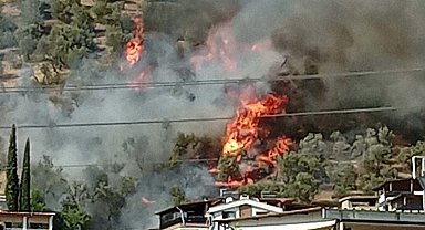 Balıkesir'deki yangın 5 saatte söndürüldü